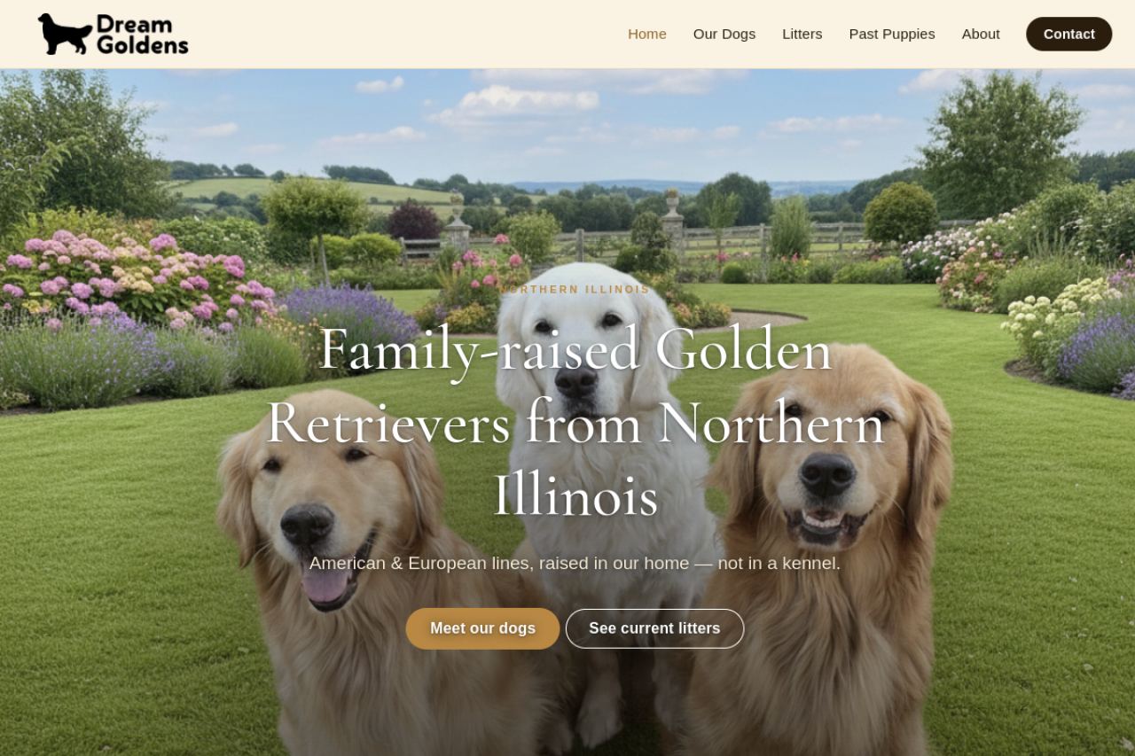 Dream Goldens website